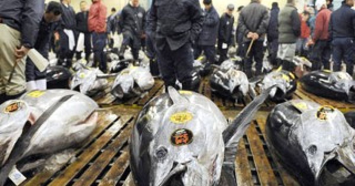 Рибний аукціон Цукідзі, Японія