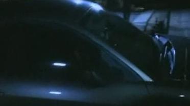 Родители "Аризонского стрелка" попросили прощения за сына