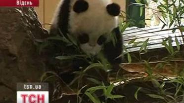 Лучший зоопарк