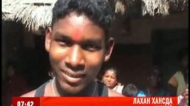 Свадьба с собаками