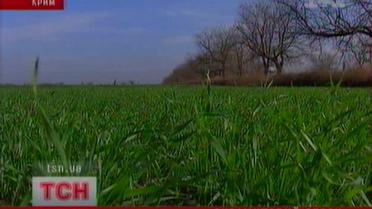 В Крыму бархатный сезон