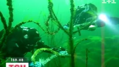 На Дніпропетровщині наближення Різдва відсвяткували під водою
