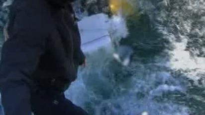 Шампанське з 180-річною витримкою буде продано на аукціоні