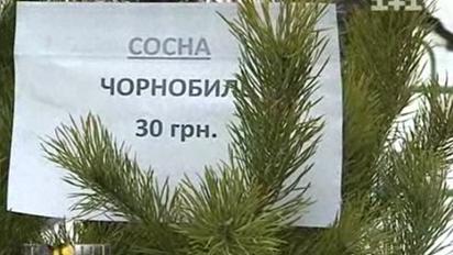 На Новий рік можна випадково придбати ялинку з Чорнобилю