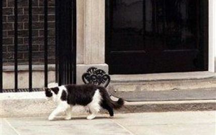 Через нашестя пацюків у резиденції британського прем'єра заведуть кота