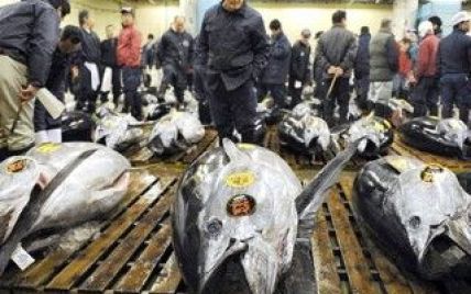 Гігантського тунця продали за рекордні 400 тисяч доларів