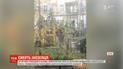 Загадкове самогубство скоїв ісландець у Львові