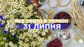Какой праздник 31 июля 2026 года