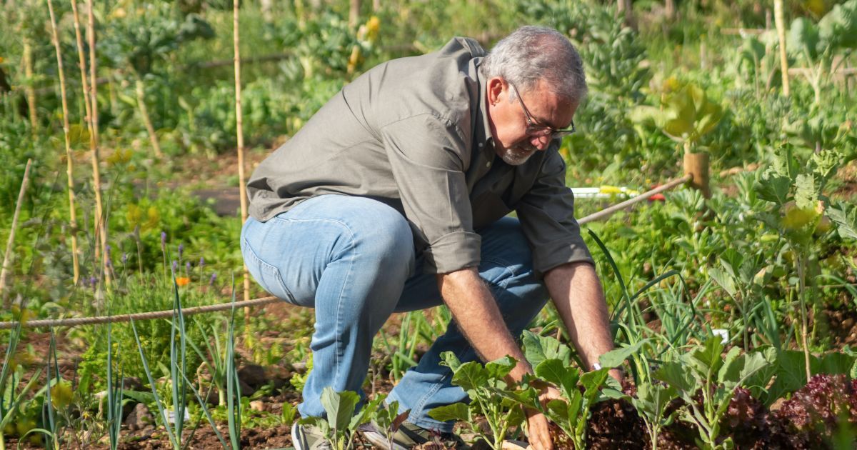 Кого из владельцев огородов и дач освободят от налога в 2022 году