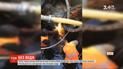 Львовян перевели на почасовую подачу воды из-за масштабной аварии на водопроводе