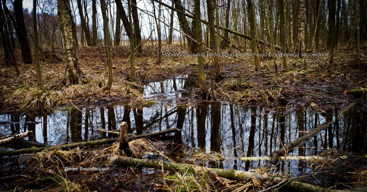 Весна у Чорнобильському заповідника: співробітники оприлюднили милі фото