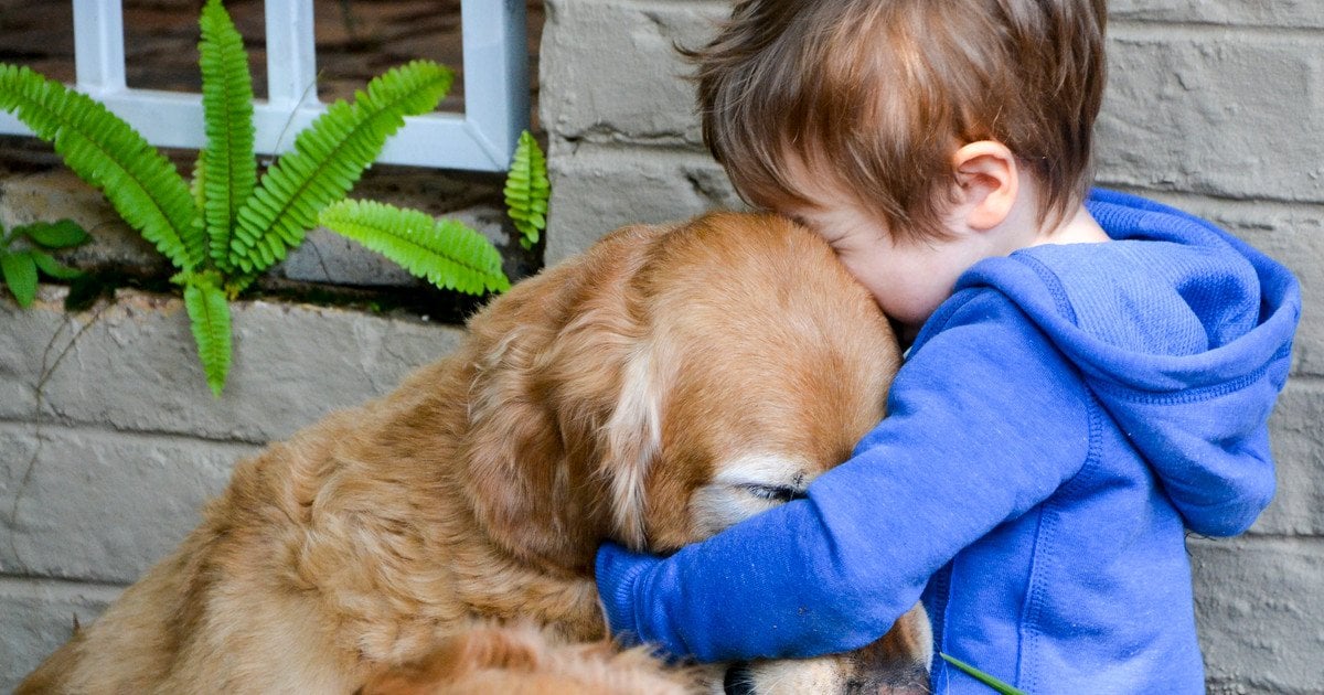 Дитина й собака