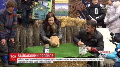 Харківський бабак Тимко навіщував ранню весну