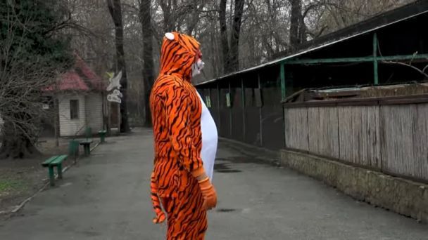 В Одессе директор зоопарка переоделся в тигра и хватал женщин за ягодицы, фото 2