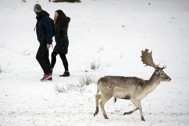  / © Associated Press