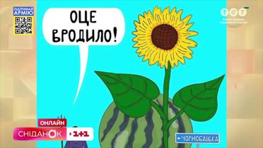Меми для бойового настрою: чим ще корисні веселі картинки