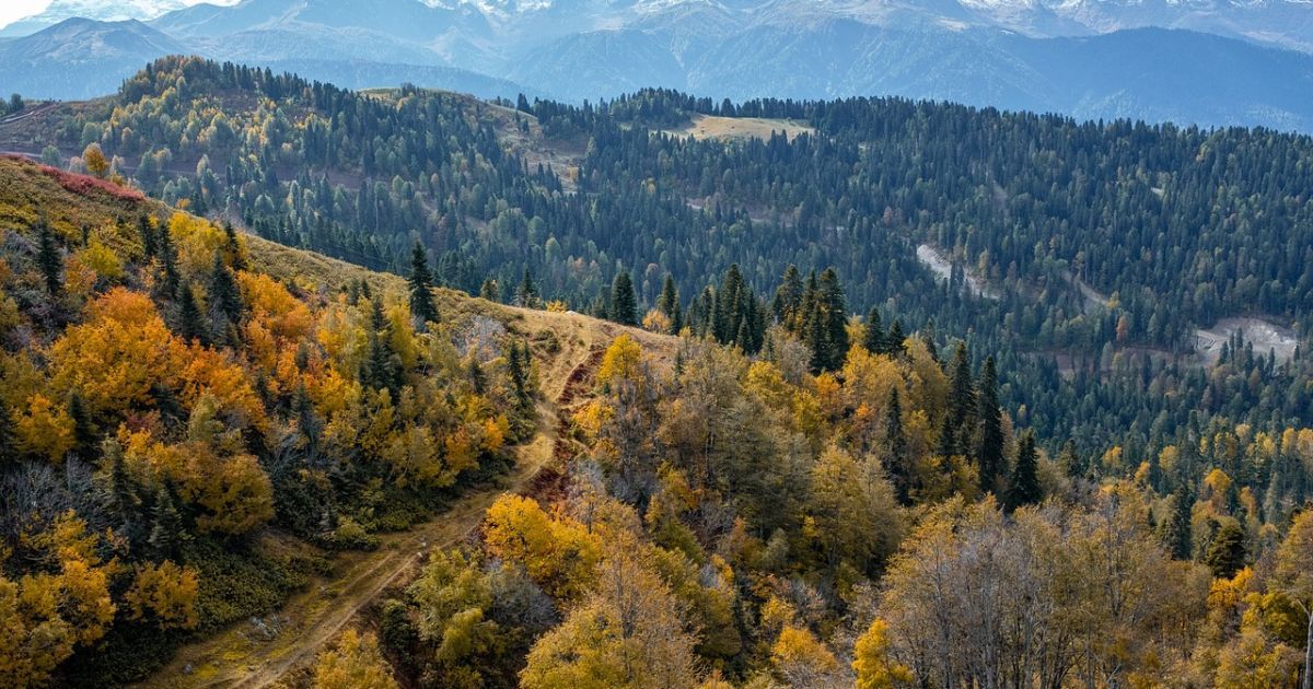 Погода порадует украинцев