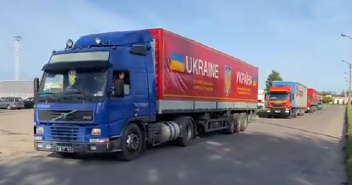 Фото: скриншот с видео