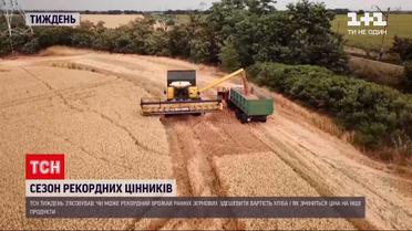 Новости недели: в Украине собрали рекордный урожай зерновых, но значит ли это, что хлеб подешевеет
