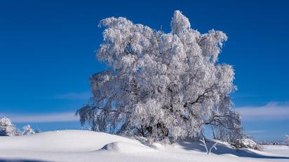 Зимовий пейзаж