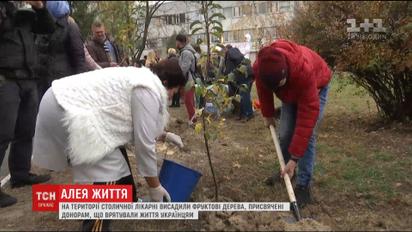 В столичной больнице скорой помощи высадили фруктовые деревья, посвященные донорам