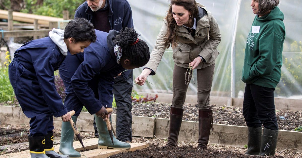 Кейт Міддлтон і свинки_13 / © Reuters