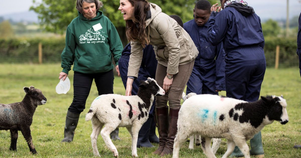 Кейт Міддлтон і свинки_8 / © Reuters