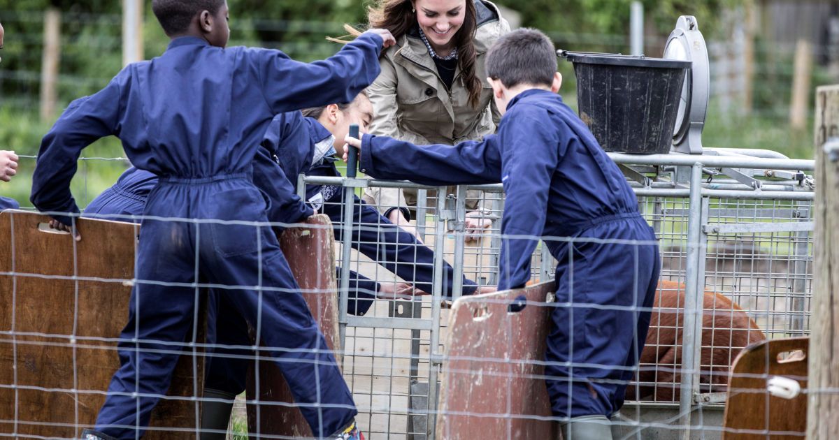 Кейт Міддлтон і свинки_2 / © Reuters