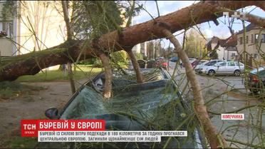 Повалені дерева та велика вода: Німеччина оговтується від потужного удару буревію