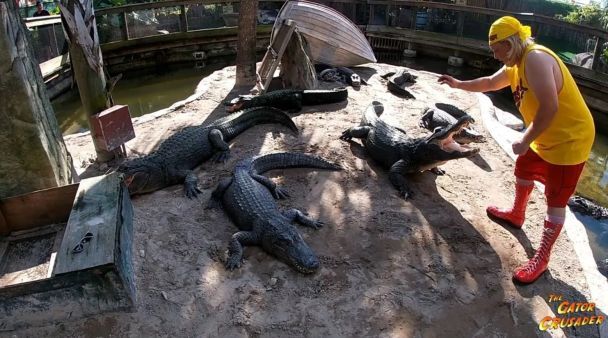 Майкл Вомер з алігаторами / Фото: The Gator Crusader