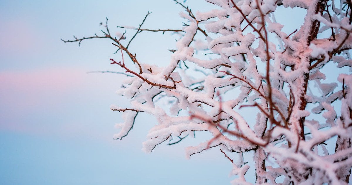 Морози не відступають