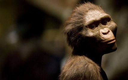 Ученые узнали, какую роль в эволюции человека сыграли драки