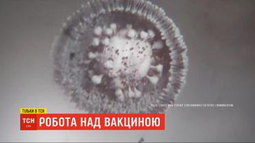 Большие гонки: одновременно на планете разрабатывают около сотни вакцин от коронавируса