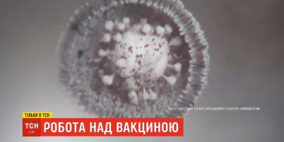Большие гонки: одновременно на планете разрабатывают около сотни вакцин от коронавируса
