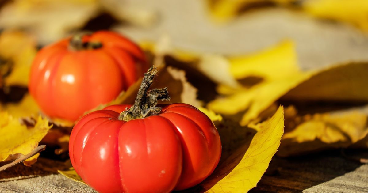 В Україні вирішили заборонити муляжі продуктів