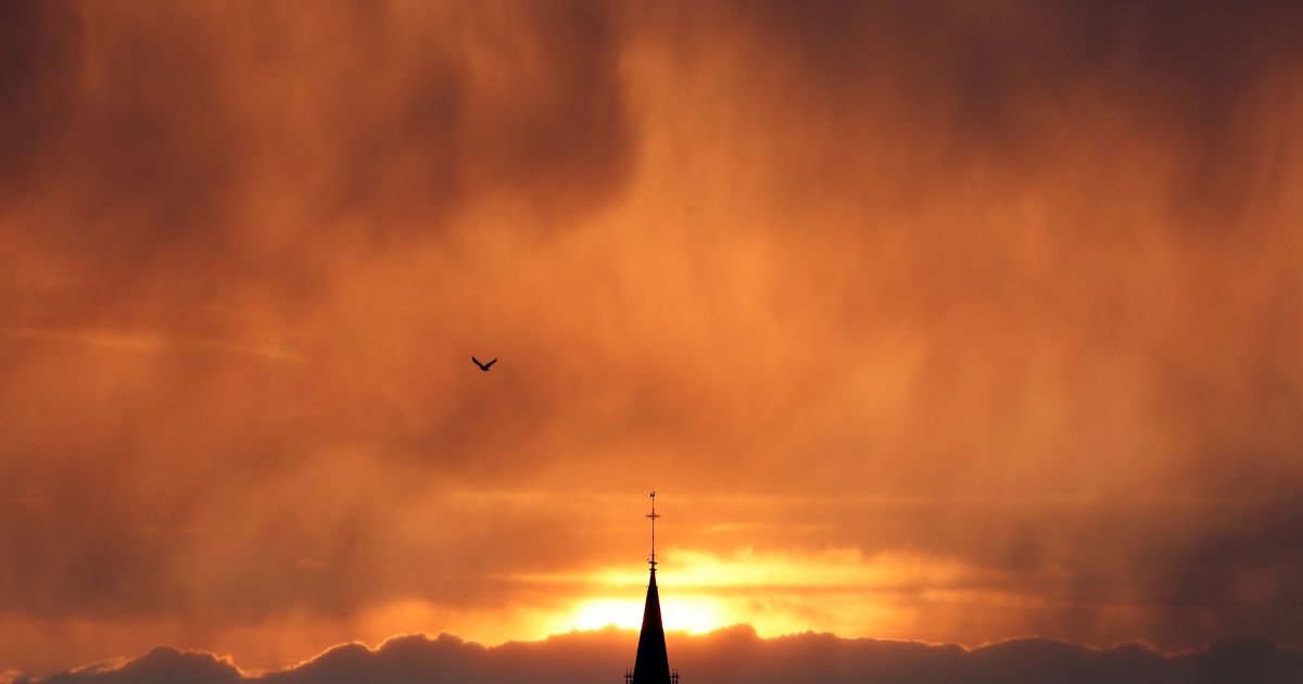 Виноград рятують від морозу / © Reuters