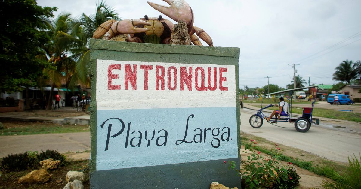 Краб,краби_11 / © Reuters