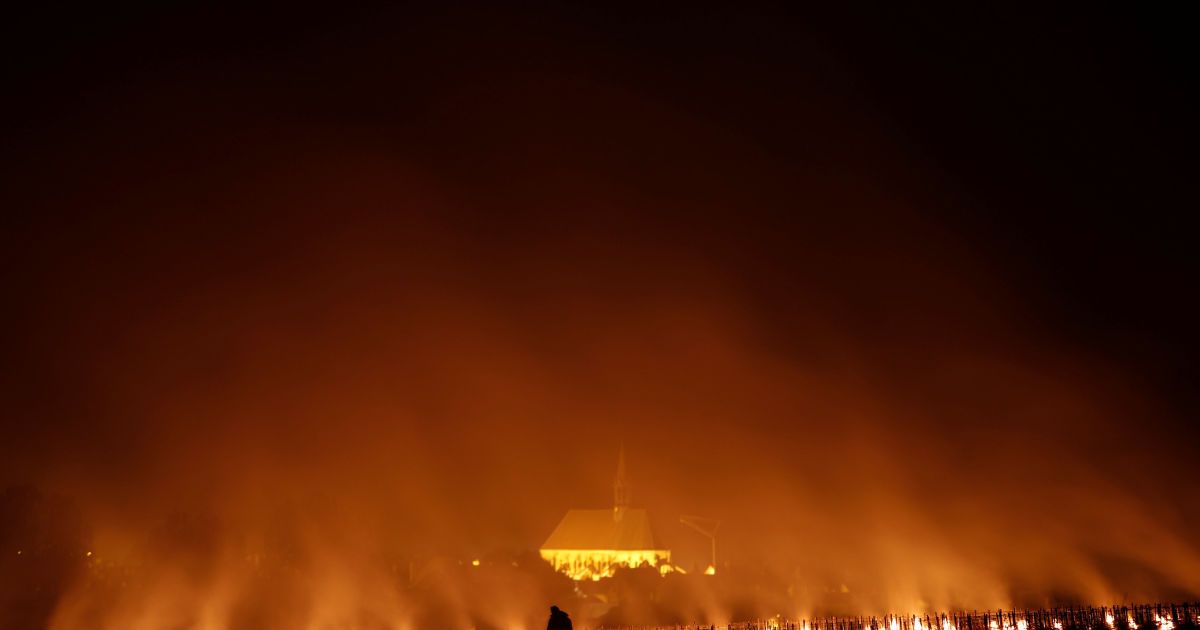 Виноград рятують від морозу / © Reuters