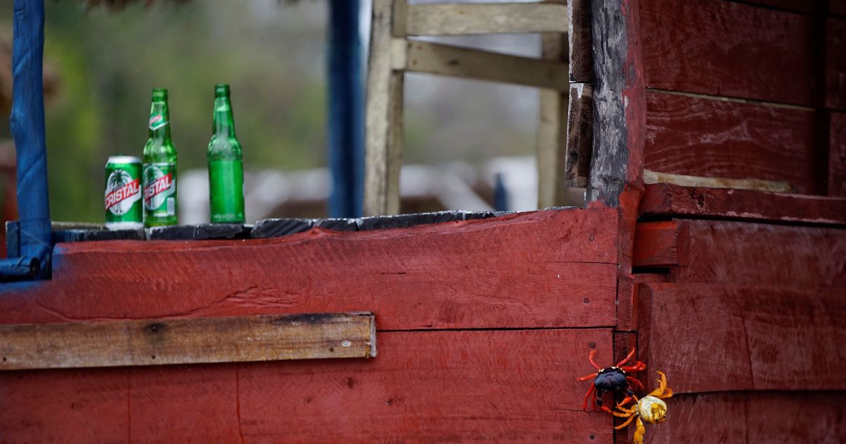 Краб,краби_14 / © Reuters