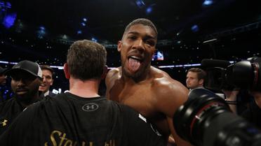 Джошуа победил Кличко / © Reuters