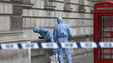 Затримання чоловіка із ножами у Лондоні_15 / © Reuters