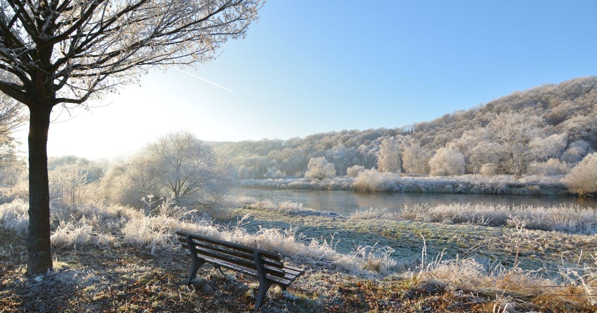 Морозна погода