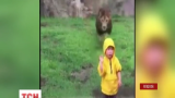 У Японії в зоопарку лев спробував напасти на дитину