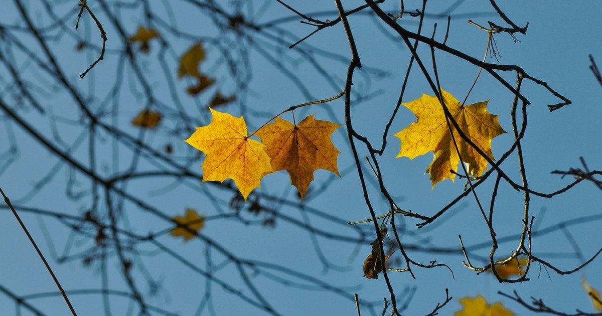 До України йде похолодання