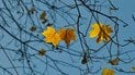 До України йде похолодання