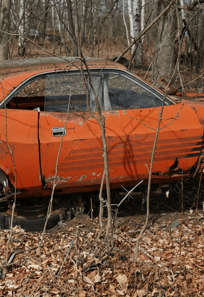 Dodge Challenger начала 1970-х годов