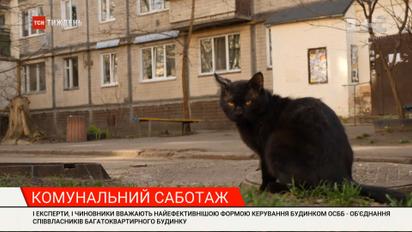 Комунальна битва: чому мешканцям багатоквартирних будинків варто негайно зайнятися створенням ОСББ
