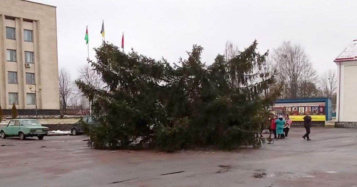 "Праздник испорчен": главная елка в городе Житомирской области оставила без Интернета полрайона и в конце концов сломалась