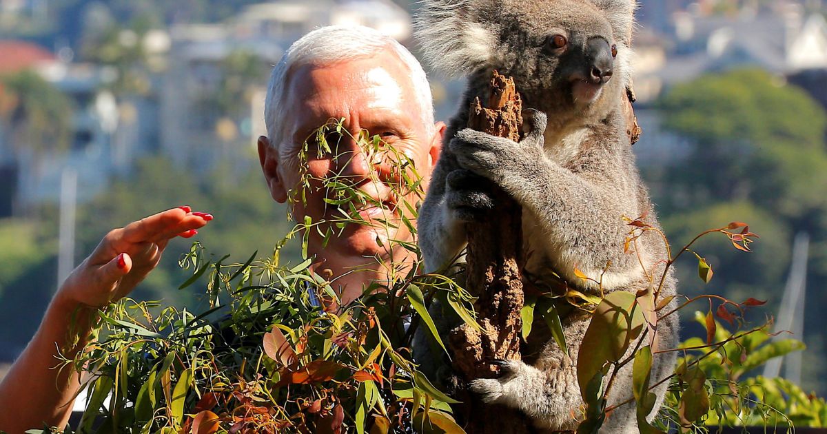 пенс в сіднеї_6 / © Reuters