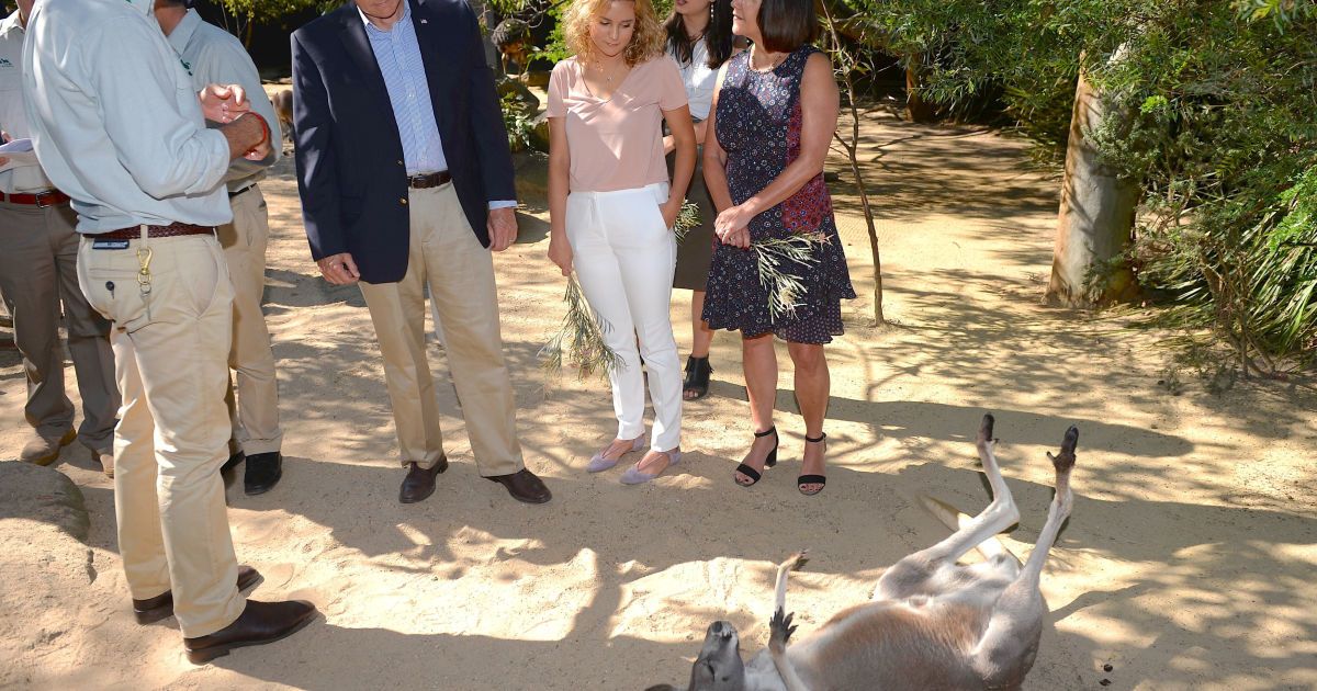 пенс в сіднеї_9 / © Reuters